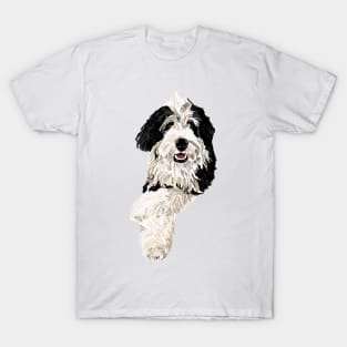 Finley the Bernadoodle T-Shirt